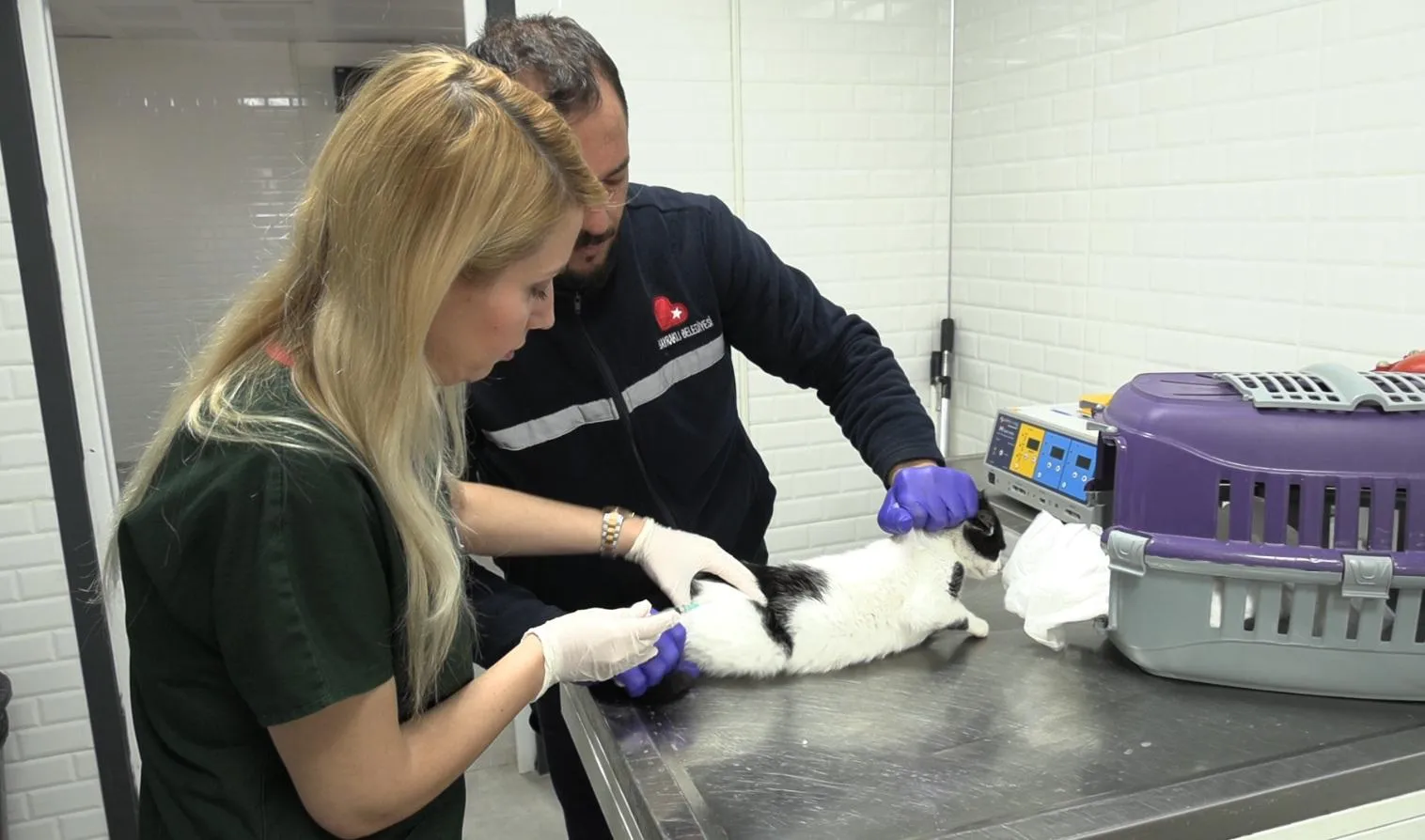 BayraklÄ±âdaki Hayvan BakÄ±mevinde KapsamlÄ± Yenileme (5)-1774860102089.webp